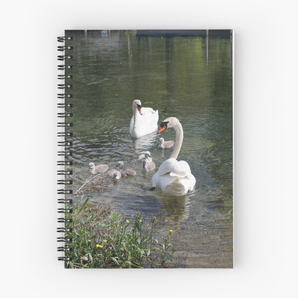 Item preview, swans with young designed and sold by distracted.