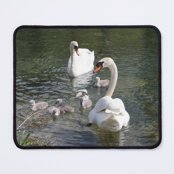 Item preview, swans with young designed and sold by distracted.