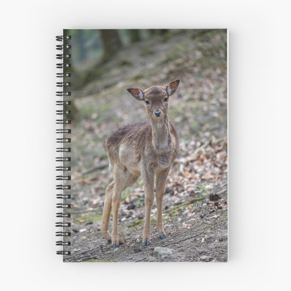 Item preview, fawn in Bretten Zoo designed and sold by OskiOnTour.