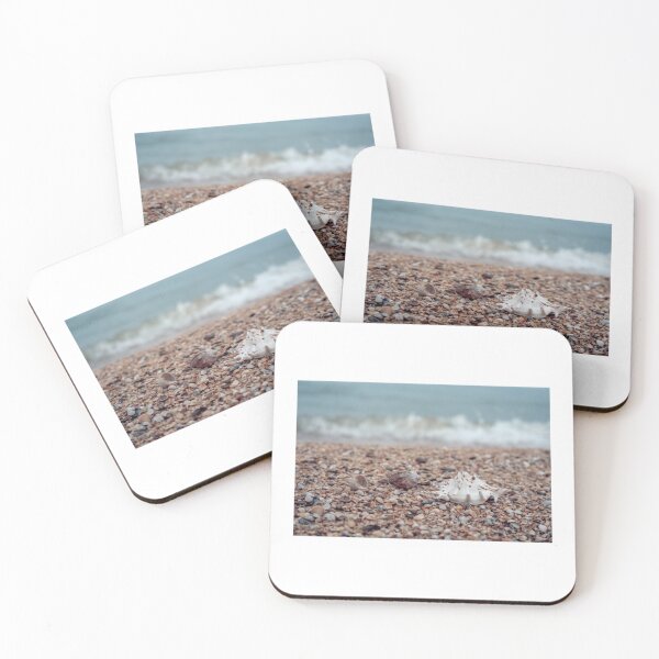 Item preview, About Seashells Premium    designed and sold by LesBonRibbon.