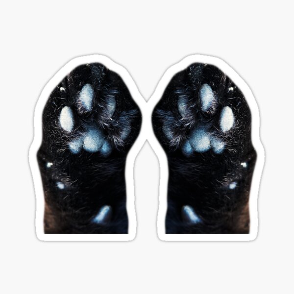 "Black cat paw pads" Sticker by eppandality Redbubble