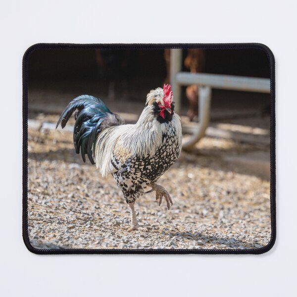 Item preview, proud rooster, Bretten Animal Park designed and sold by OskiOnTour.