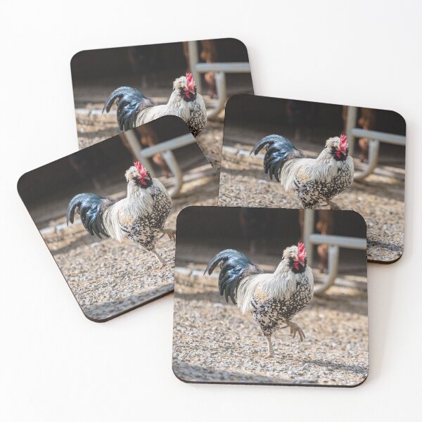 Item preview, proud rooster, Bretten Animal Park designed and sold by OskiOnTour.