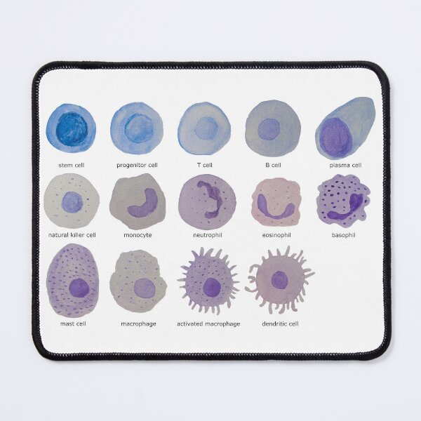 Item preview, Immune cells (watercolour) designed and sold by carmwong.
