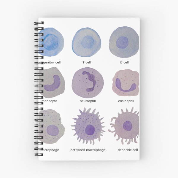 Item preview, Immune cells (watercolour) designed and sold by carmwong.