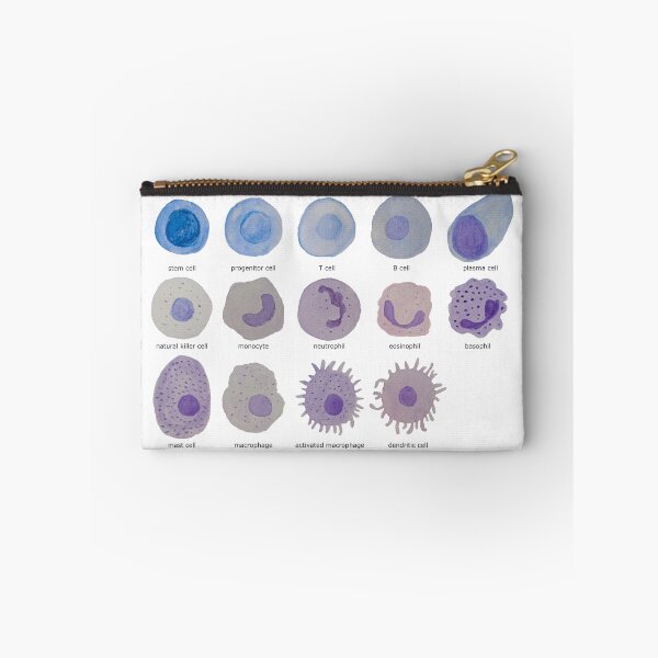 Item preview, Immune cells (watercolour) designed and sold by carmwong.