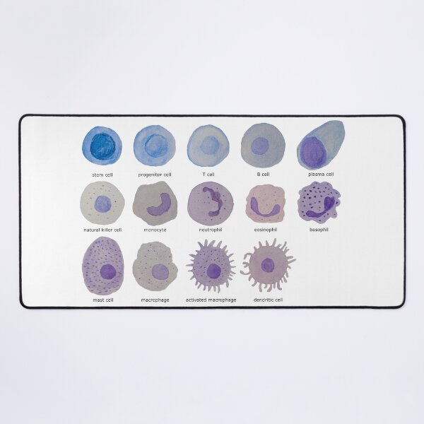 Item preview, Immune cells (watercolour) designed and sold by carmwong.