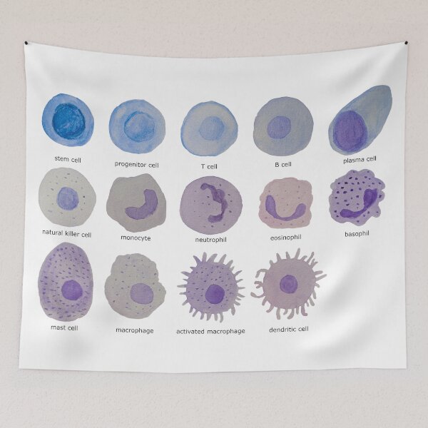 Item preview, Immune cells (watercolour) designed and sold by carmwong.