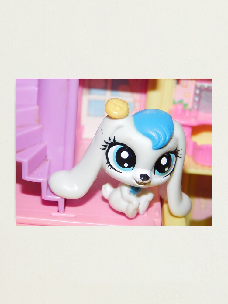 Littlest Pet Shop Bunny Photographic Print By Draikinator Redbubble