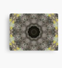 Baxter Canvas Print