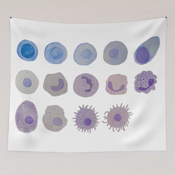 Item preview, Immune cells (watercolour) designed and sold by carmwong.