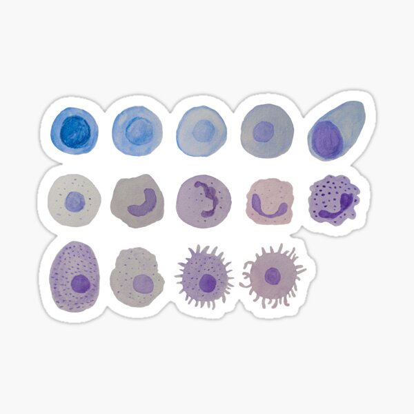 Immune cells (watercolour) Sticker
