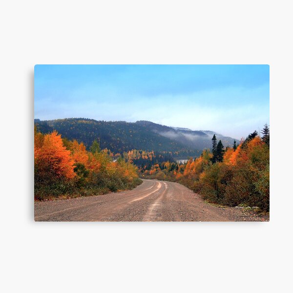 Newfoundland Autumn Canvas Print