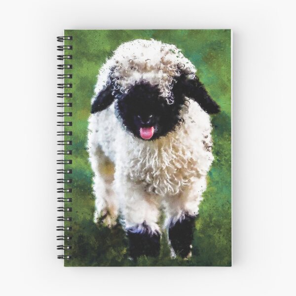 Artikelvorschau, Schweizer Walliser Schwarznasenschaf, Schwarznasenschaf, Niedliches Nutztierbaby, Walliser Schwarznasenschaf, Niedliches Flauschiges Schaf entworfen und verkauft von Paintcorner.
