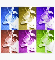 Pop Art Chihuahua Poster
