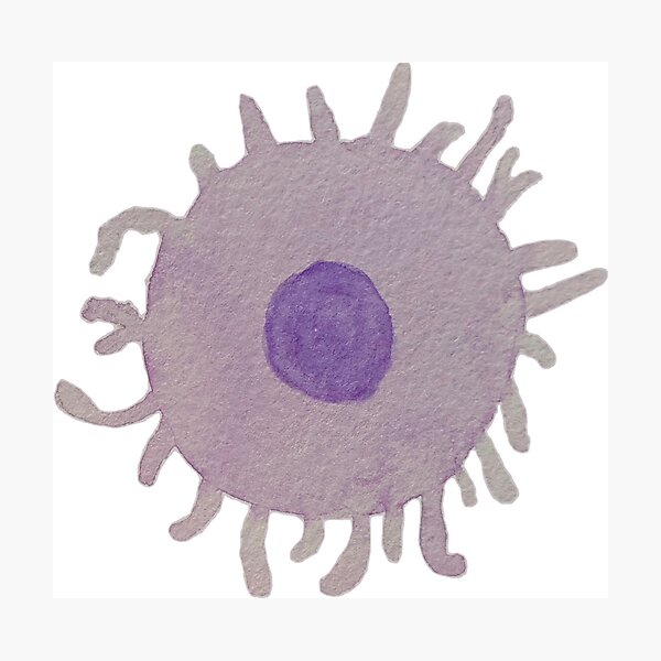 Item preview, dendritic cell (watercolour) designed and sold by carmwong.