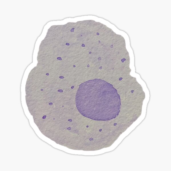 Macrophage (watercolour) Sticker