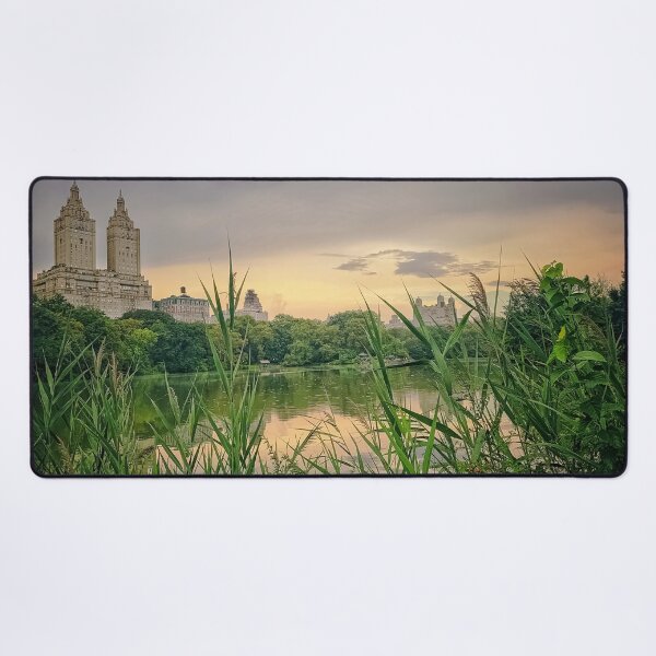 Item preview, Central Park, Manhattan, NYC designed and sold by eleonoraingrid.