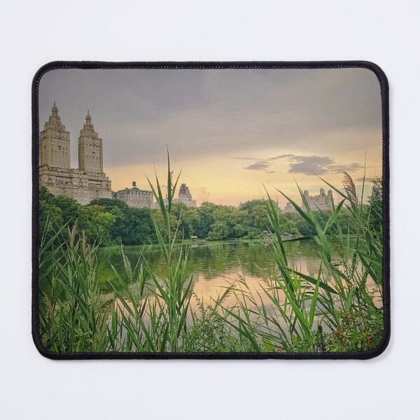 Item preview, Central Park, Manhattan, NYC designed and sold by eleonoraingrid.