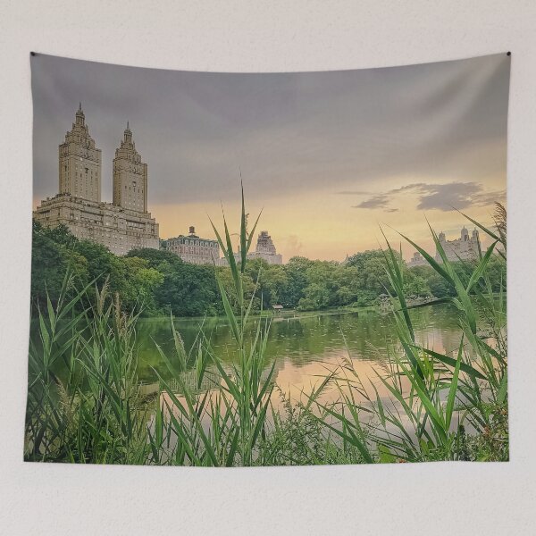 Item preview, Central Park, Manhattan, NYC  designed and sold by eleonoraingrid.