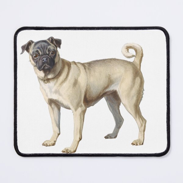 Item preview, Mops (Pug ) designed and sold by Aleksandar92.