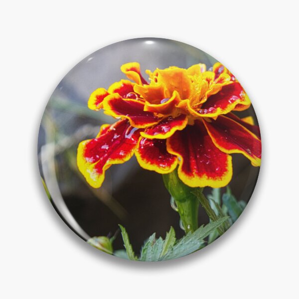 Item preview, Hiding in the rockery designed and sold by Kerry LeBoutillier.