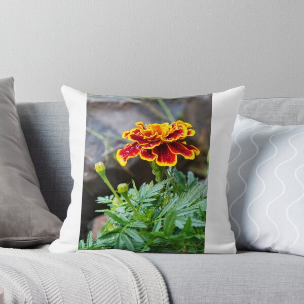 Item preview, Hiding in the rockery designed and sold by Kerry LeBoutillier.