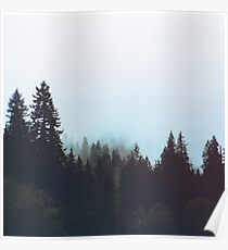 Washington Woodlands Poster