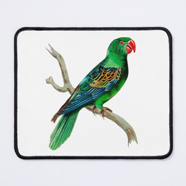 Item preview, Parrot designed and sold by Aleksandar92.