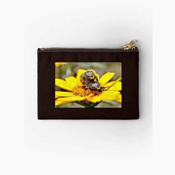 Item preview, Pollen love story or Oxythyrea funesta. designed and sold by elGatCendrer.