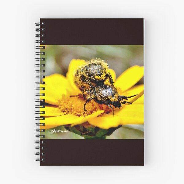 Item preview, Pollen love story or Oxythyrea funesta. designed and sold by elGatCendrer.