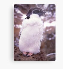 Young Punk Metal Print