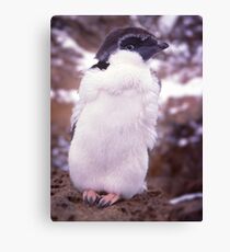 Young Punk Canvas Print