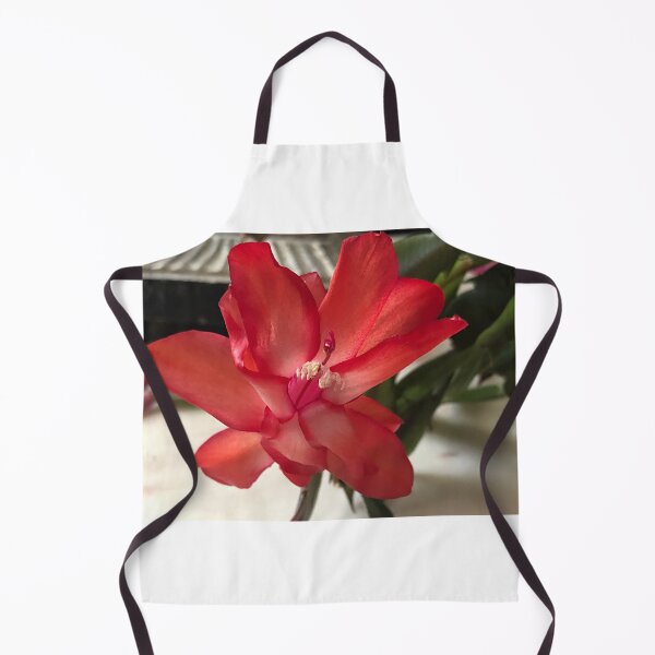 Item preview, Beautiful red thanksgiving cactus flower designed and sold by FlowersAndMore.