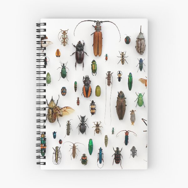 Item preview, Insect collection  designed and sold by Tweeting.