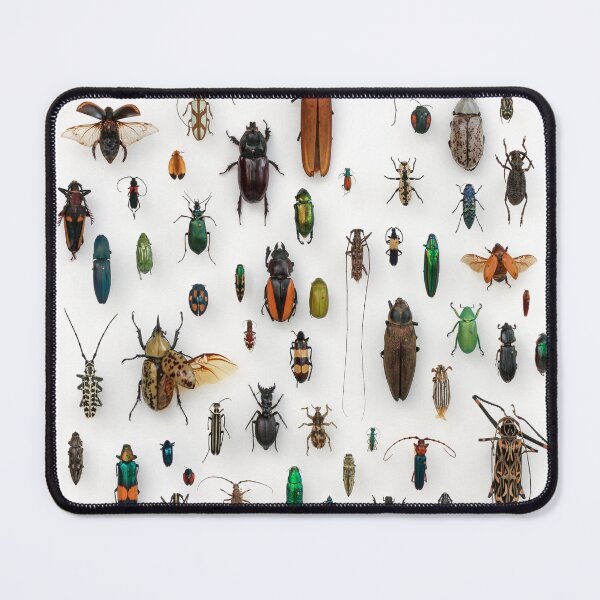 Item preview, Insect collection designed and sold by Tweeting.