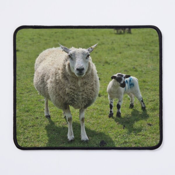 Item preview, Sheep & Lamb designed and sold by RAdley21.