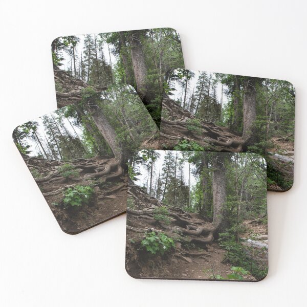 Item preview, Tree Roots on Mountainside, Colorado designed and sold by Lostlogo.