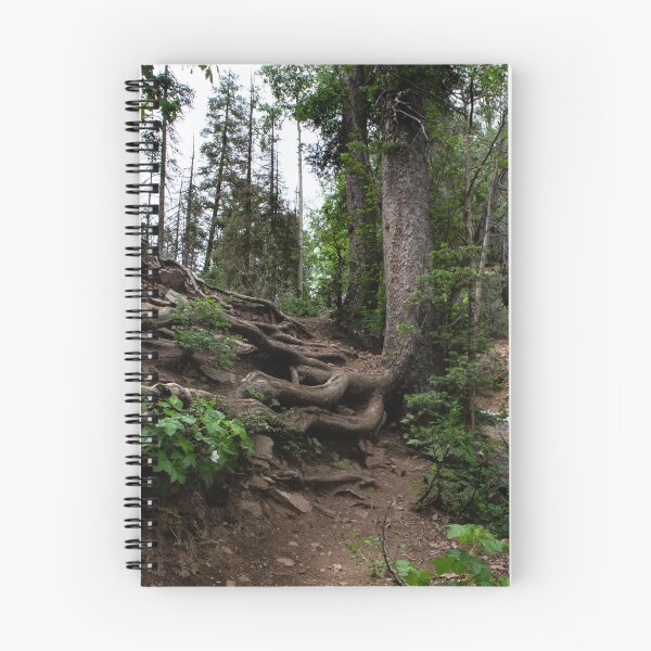 Item preview, Tree Roots on Mountainside, Colorado designed and sold by Lostlogo.