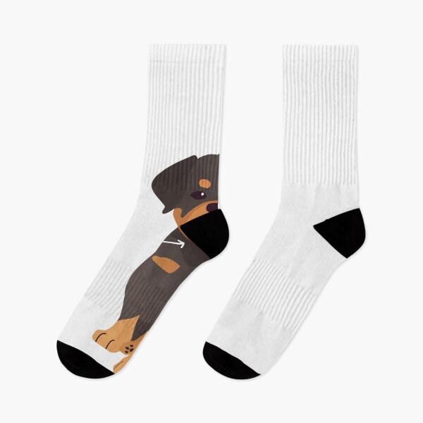 Item preview, Rottweiler Anatomy designed and sold by Clara Hollins.