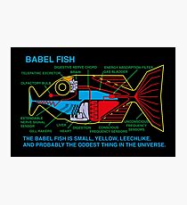 NDVH Babel Fish Photographic Print