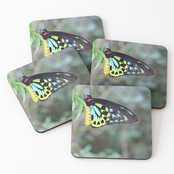 Item preview, Ornithoptera euphorion mariposa ala de pájaro de Cairns designed and sold by deanworld.