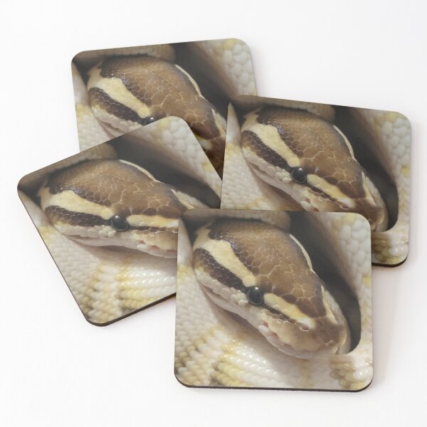 Item preview, Venus, Lesser het Clown Ball Python designed and sold by Nerdynoods.