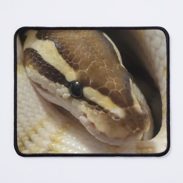 Item preview, Venus, Lesser het Clown Ball Python designed and sold by Nerdynoods.