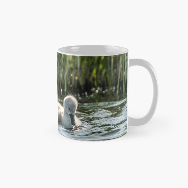 Item preview, Wild Baby Cygnets designed and sold by Alius Imago.