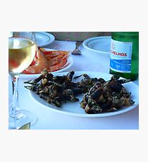 Barnacles and other seafood Photographic Print