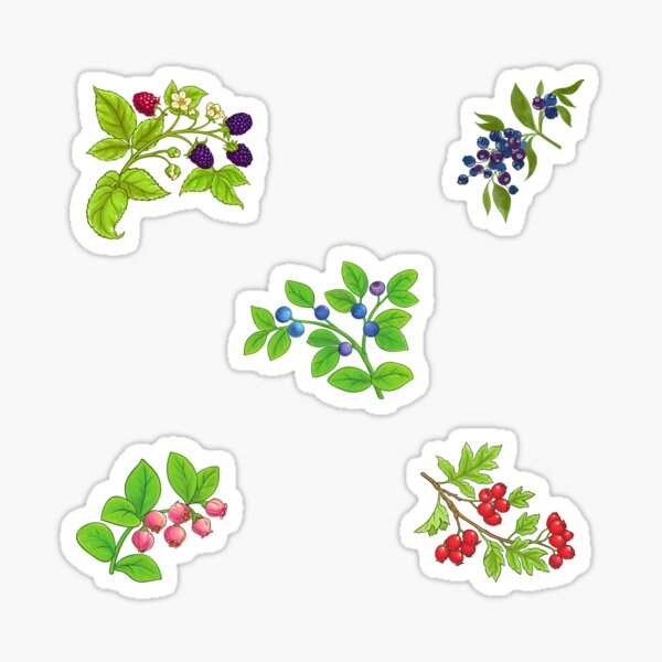 Artikel-Vorschau von Gemischte Beerenzweige - Heidelbeeren, Brombeeren, Waldbeeren, designt und verkauft von silviaol.
