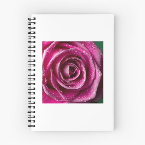 Item preview, Pink rose designed and sold by Jagged-designs.