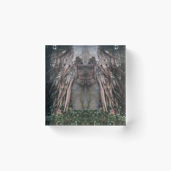 Item preview, Great Elder Eucalyptus, Domain, lutruwita, Tasmania 2022 designed and sold by RoseAromas.