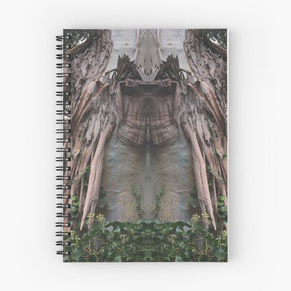 Item preview, Great Elder Eucalyptus, Domain, lutruwita, Tasmania 2022 designed and sold by RoseAromas.